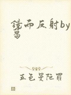 镜面反射by九葛