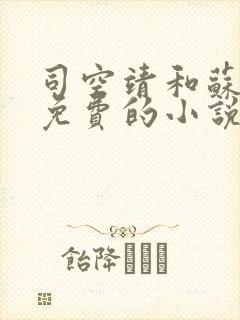 司空靖和苏月汐免费的小说笔趣阁