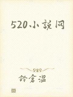 520小说网