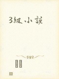 3级小说