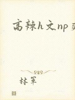 高辣h文np爽