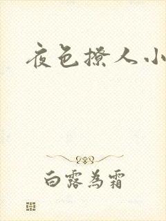 夜色撩人小说