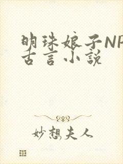 明珠娘子NPC古言小说
