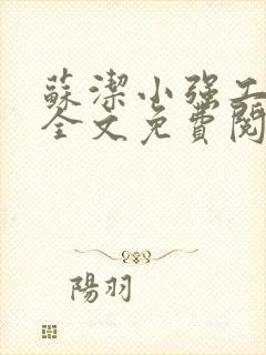 苏洁小强工地情全文免费阅读