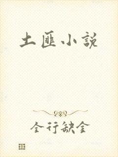 土匪小说