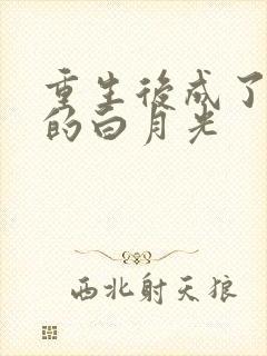 重生后成了皇帝的白月光