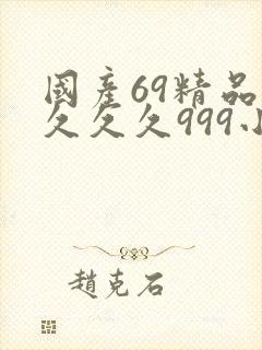 国产69精品久久久久999小说
