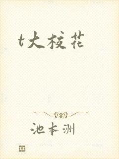 t大校花
