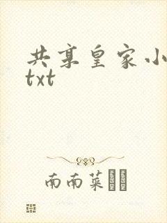共享皇家小公主txt