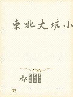 东北大坑小说