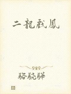 二龙戏凤