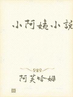 小阿姨小说