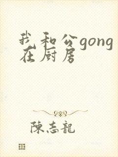 我和公gong在厨房