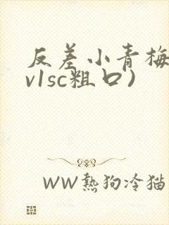 反差小青梅(1v1sc粗口)