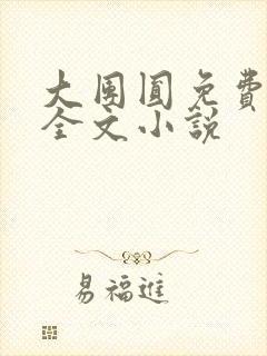 大团圆免费阅读全文小说