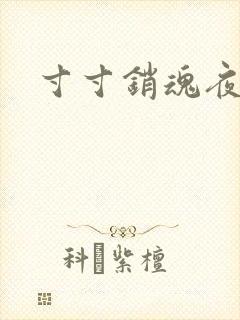 寸寸销魂夜春光