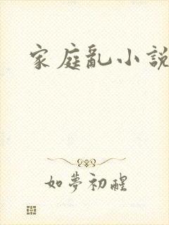 家庭乱小说