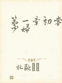 第一章初尝极品少妇