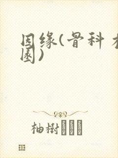 因缘(骨科 校园)