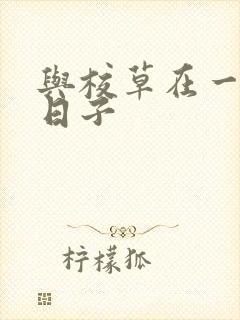 与校草在一起的日子