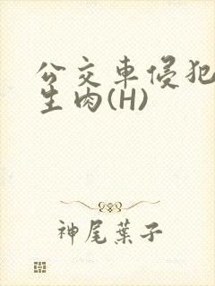 公交车侵犯小男生肉(H)