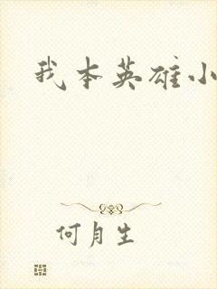 我本英雄小说