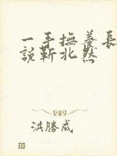 一手抚养长大小说靳北然