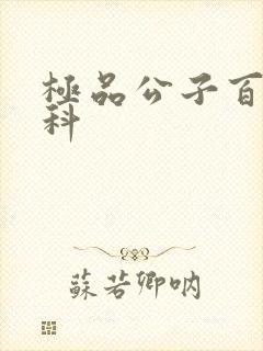 极品公子百度百科