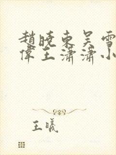 赵晓东吴雪晴郑伟王潇潇小说名字