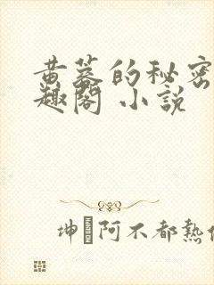 黄蓉的秘密 笔趣阁 小说