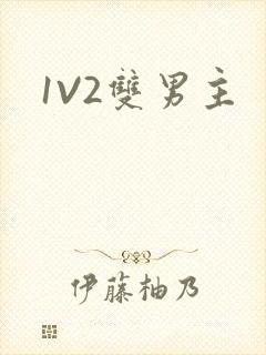 1V2双男主