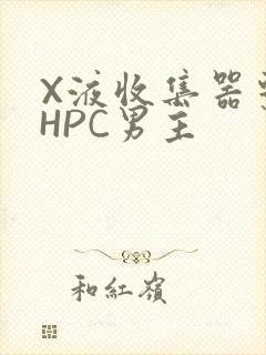 X液收集器系统HPC男主