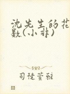 沈先生的花式调数(小非)