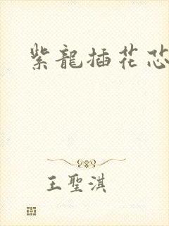 紫龙插花芯方正