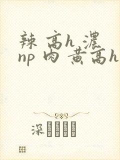辣 高h 浓 np 肉 黄高h
