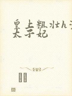 皇上粗壮h灌满太子妃