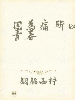 因为痛 所以叫青春