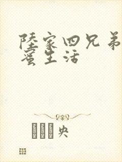 陆家四兄弟的甜蜜生活