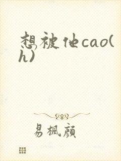 想被他cao(h)