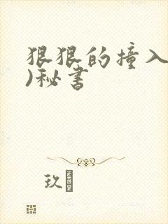 狠狠的撞入(h)秘书