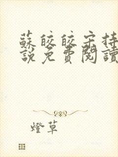 苏皎皎宋持的小说免费阅读