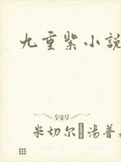 九重紫小说