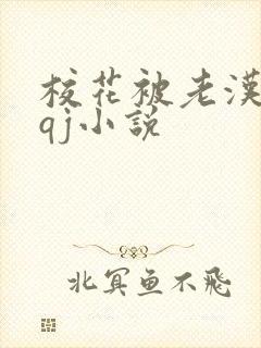 校花被老汉狂肉qj小说