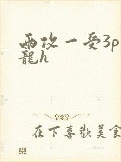 两攻一受3p双龙h