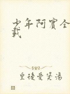 少年阿宾全集下载