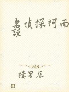 名侦探柯南h小说