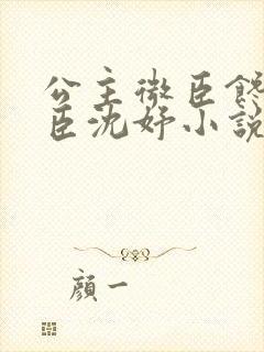 公主微臣馋了微臣沈妤小说