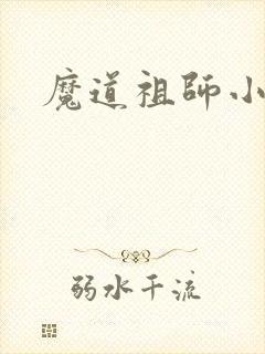 魔道祖师小说