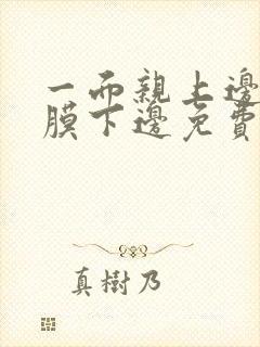 一面亲上边一面膜下边免费阅读