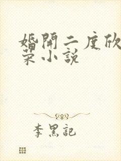 婚开二度欣欣向荣小说